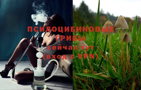 дурь Алексин