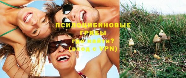 дурь Алексин