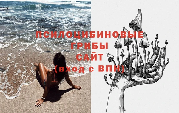дурь Алексин