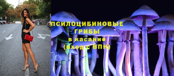 дурь Алексин