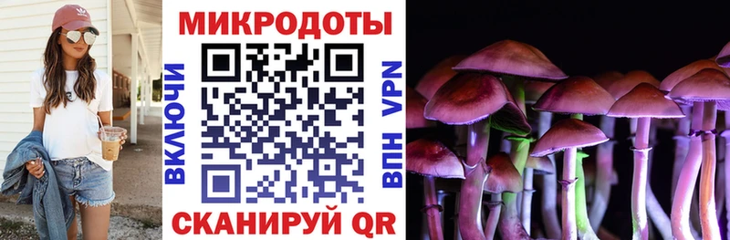 Галлюциногенные грибы Psilocybine cubensis  Кола 